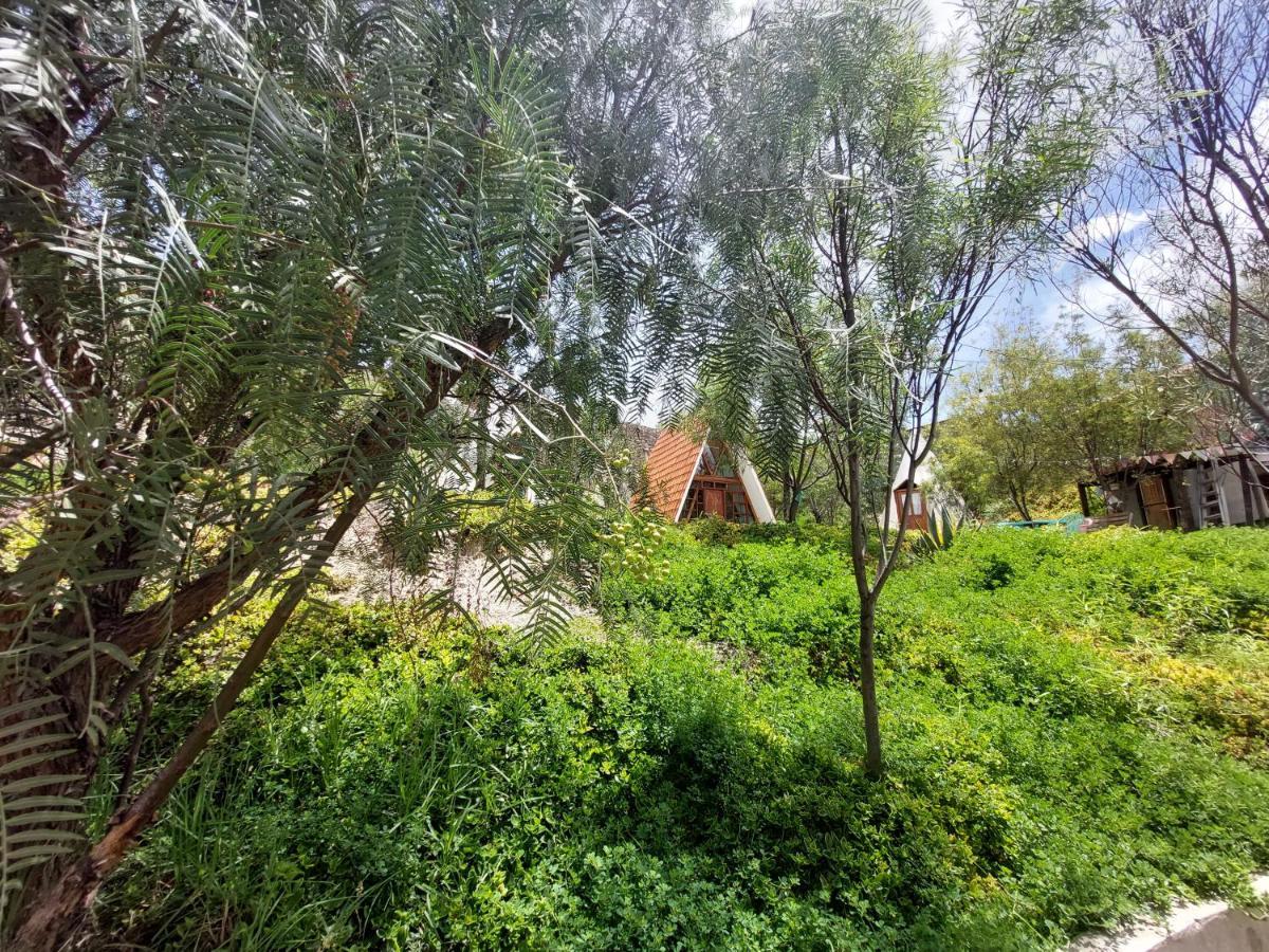 Colibri Eco Lodge & Camping La Paz Exterior photo
